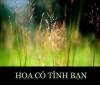 HOA   CỎ   TÌNH   BẠN   NHỎ
