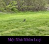 MỘT NHÀ NHÂN LOẠI