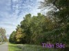 THẦN SẮC