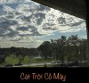 CÁT TRỜI  CỎ MÂY