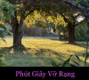 PHÚT GIÂY VỠ RẠNG
