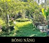 BÓNG NẮNG NGÀI