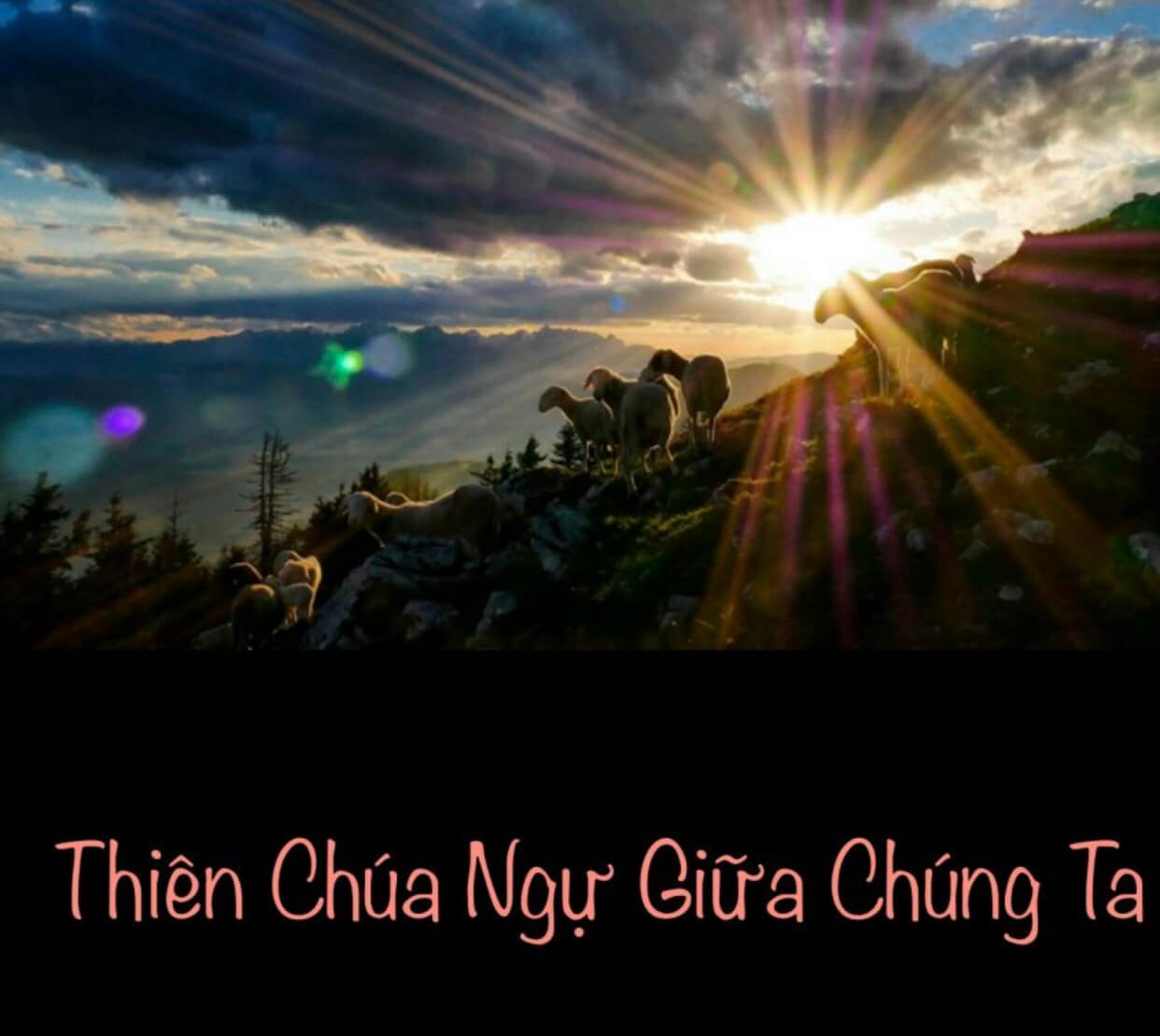 CHO CON  MƯỢN... CHÚA NHÉ