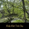 KHẮN KHÍT TÌNH CHA